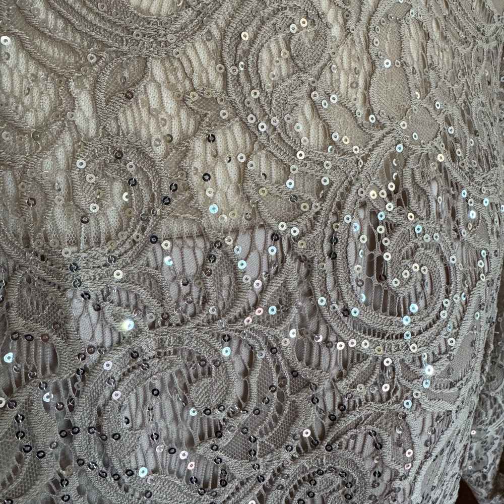 Alex Evenings formal dress/Mother of the Bride